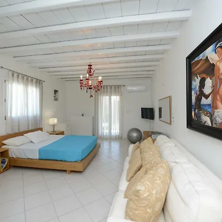 Villa Wild View Mykonos *