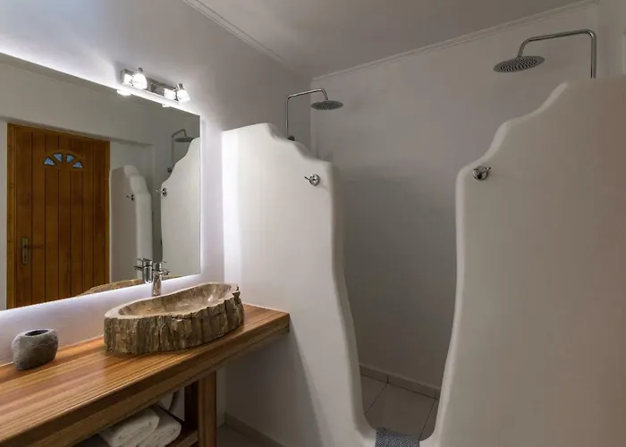 ヴィラ Wild View Mykonos